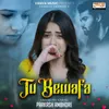 About Tu Bewafa Song